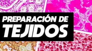Histologia Tecnica Histologica parte 1