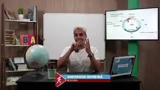 DIVISÃO CELULAR: CICLO CELULAR E MITOSE