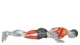I Tried TESTOSTERONE Workout for Pelvic Floor 30 Days and Here's What Happened +5 INCH