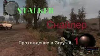 Сталкер снайпер  Прохождение с Grey   # 1