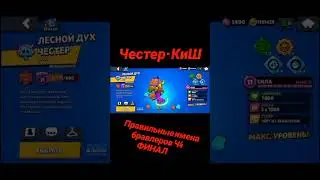 ДО КОНЦА 😳 правильные имена бравлеров ФИНАЛ! #brawlstars #бравлстарс #мем #юмор