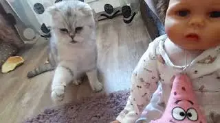 полдень с реборном