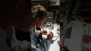La récolte de Gelée Royale