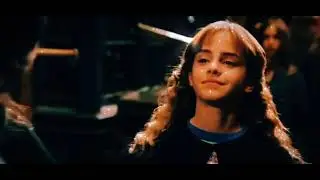 Harry Potter Edit-Little Dark Ages