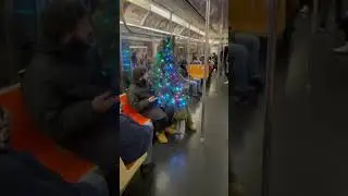 Your Tree Is On Me 