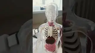 Как стать крутым офником