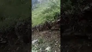 Class.7th Sub.Geography Topic.Natural Vegetation Tr.Ali Aksar Sheikh