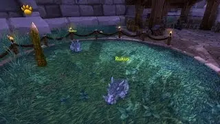 Brutus & Rukus Battle Pet Guide - World of Warcraft