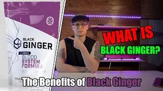 BLACK GINGER | Supplement Series Episode Three | The Benefits