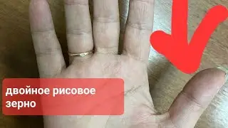 Двойное рисовое зерно пхала рекха. Пример на руке. Хиромантия