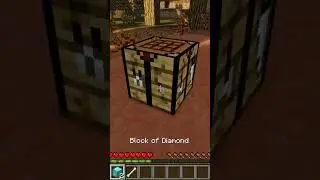 Save the DOG or DIAMONDS - MINECRAFT
