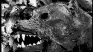 Skinny Puppy - Incision