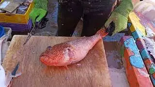ابوني ديما الجديد