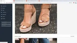 "Import products from Aliexpress" OpenCart extension Usage