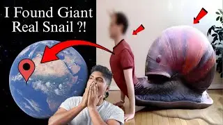 I Found Giant Snail is Real Life! on Google Maps and Google Earth 🌎 #googleearth #earth #map #trend