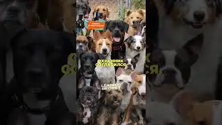 ПРИТЧА-КОРОЛЬ И СЛУГА