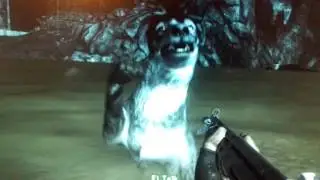 Dogmeat, what're you doing