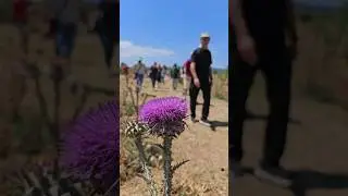 L'antica Mileto dove Paolo si congedò dagli anziani di Efeso (At 20)