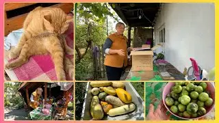 ПОСЫЛКА от ЗРИТЕЛЬНИЦЫ! Вот это ПОДАРОК! Снова Раздаю кабачки, Жизнь без удобств в селе