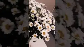 прекрасное в мелочах 💚 #cover #song #2024