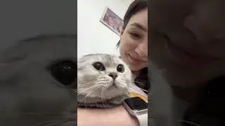 #veterinary #veternarian #ветеринар