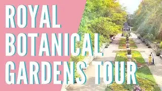 Explore the Royal Botanical Gardens | Hamilton & Burlington, Ontario