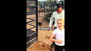 🐶😂 The Little Dog Won Without Even Jumping!