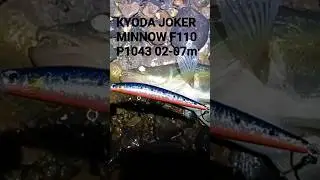 СУДАК НА ВОБЛЕР