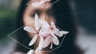 Project Motion Theater Effects _ Day 30 _ the vertex _ Photoshop Tutorial