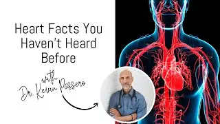 Heart and Brain Health: The Connection Most People Miss