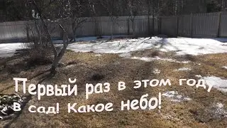 #VLOG