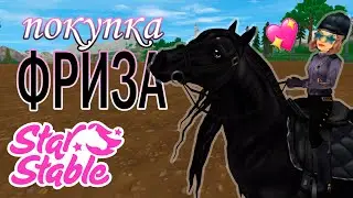 ПОКУПКА ОБНОВЛЁННОГО ФРИЗА | Star Stable Online | Liza Star