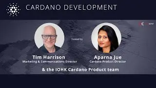Cardano Monthly Update - December 2020