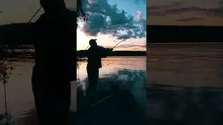Настоящая страсть