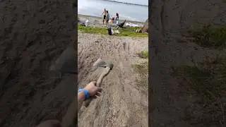 #лето