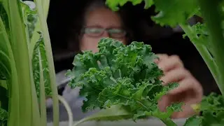 Spindly Seeds and Sausage Soup