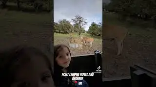 Port Lympne Hotel and Reserve