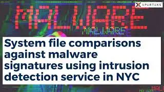 What Does Intrusion Detection Offer Your Business