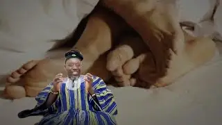 "Common Bre@st, You Can't Suck" - Chief Demonstrates His Secret Skills To Please A Woman
