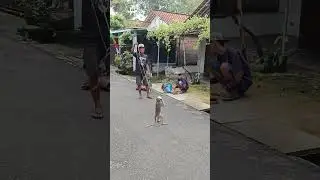 Di tempatmu ini namanya apa.. #jawa #lucu #duit #cuan #hiburan