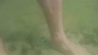 2016 0429 093928 001