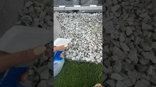 Problem solivng the discolored rocks on my roofdeck