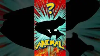 Who's That ANIMAL?! (ep. 71) 