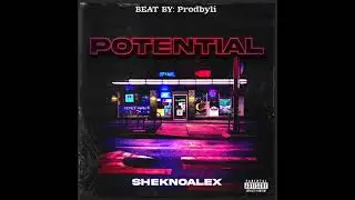 SheknoAlex - Potential