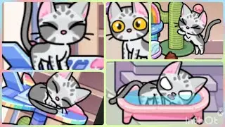 Я, я, кошак кошак