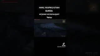 клан GURZA  stay out  us1 использует читы от разработчиков