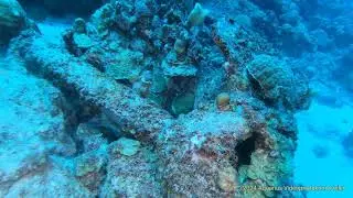 A Dive At Bonaire, Angel City