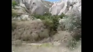 20150728_114414.3gp