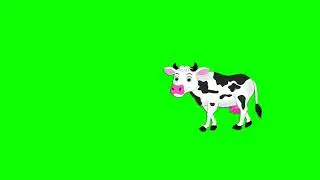 Cow green screen no copyright free video/Cow green screen video