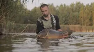 Beautiful Fishing Video | Magic music | Beautiful Carp Fishing